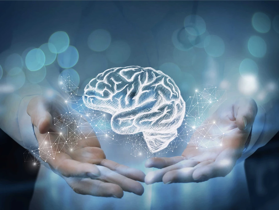 Caroline Cranshaw, Daryl Gove, Grant Bodle, Hypnotherapy Training, Auckland Hypnotherapists, Hypnosis, Integrative Hypnotherapy Training Institute